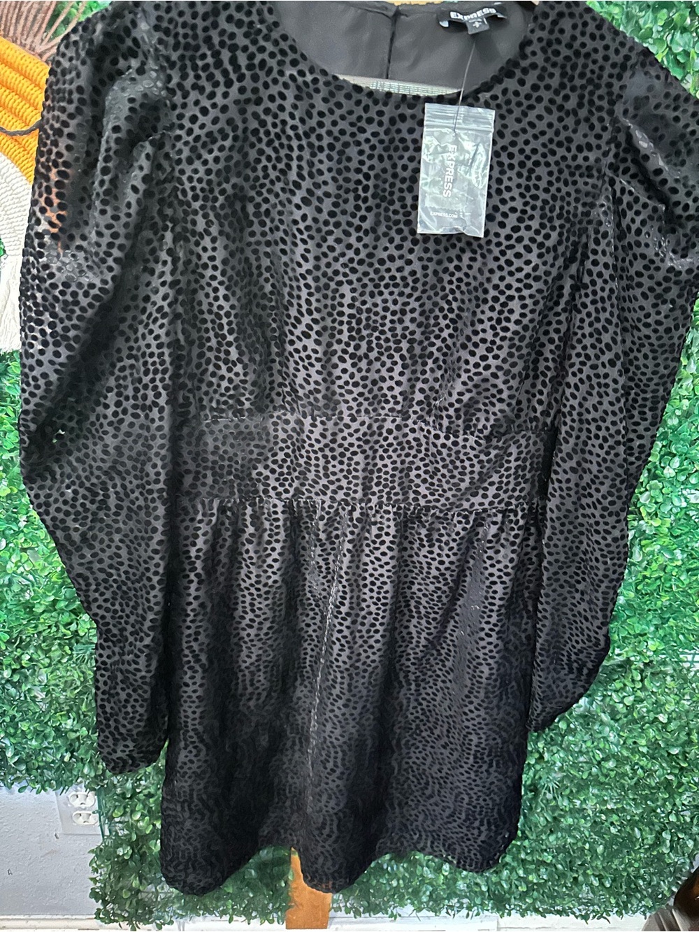 Black Velvet  Polka Dot Dress